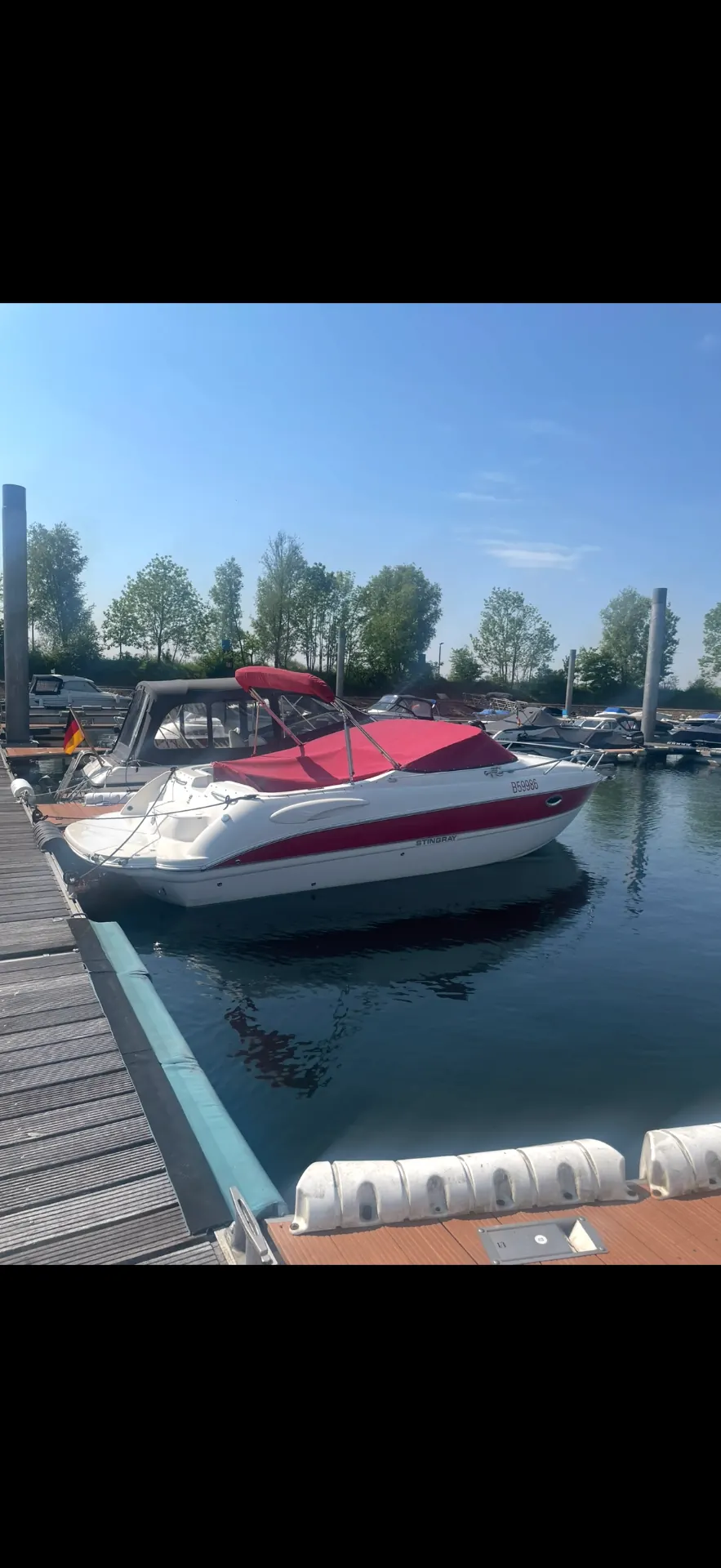 Stingray aan de steiger